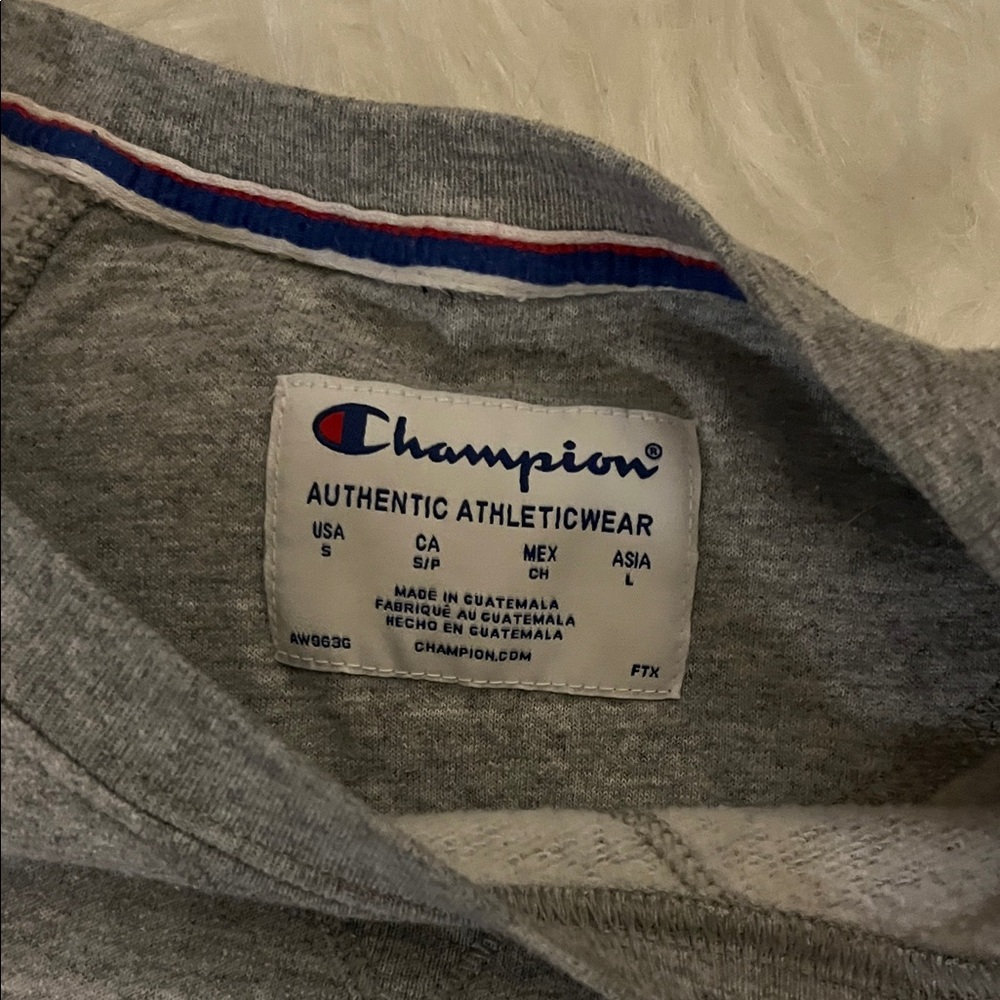 Champion Gray Sweater - Picture 3 of 4